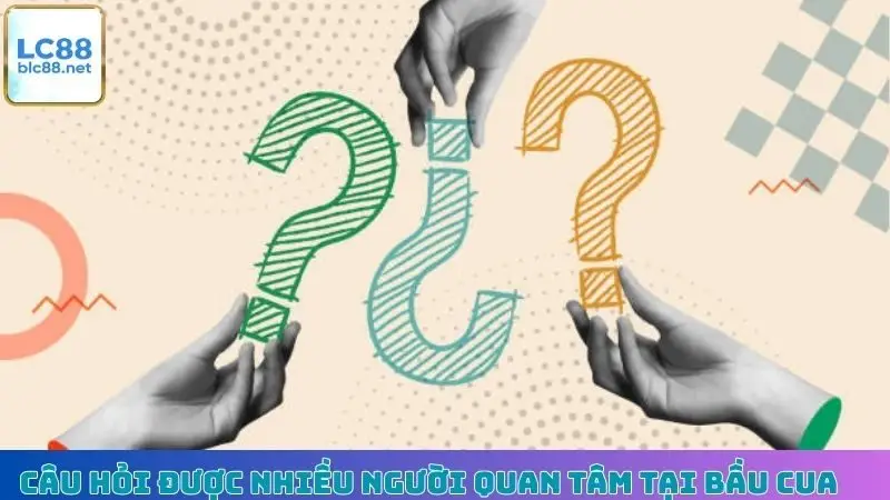 Câu hỏi được nhiều người quan tâm tại Bầu Cua