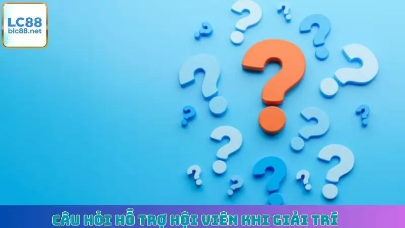 Câu hỏi hỗ trợ hội viên khi giải trí