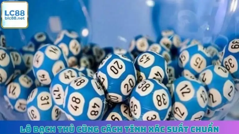 Lô bạch thủ cùng cách tính xác suất chuẩn